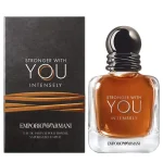 Armani Stronger With You Absolutely EDP For Men 100ML