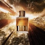 Tom Ford Bois Pacifique EDP For Men 100ML - Image 2