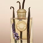 Burberry Goddess Intense EDP For Women 50ML - Image 2